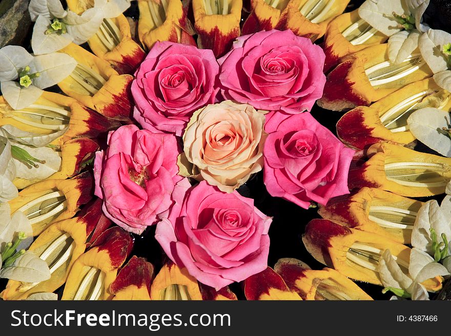 Circular flower arrangement with pink roses