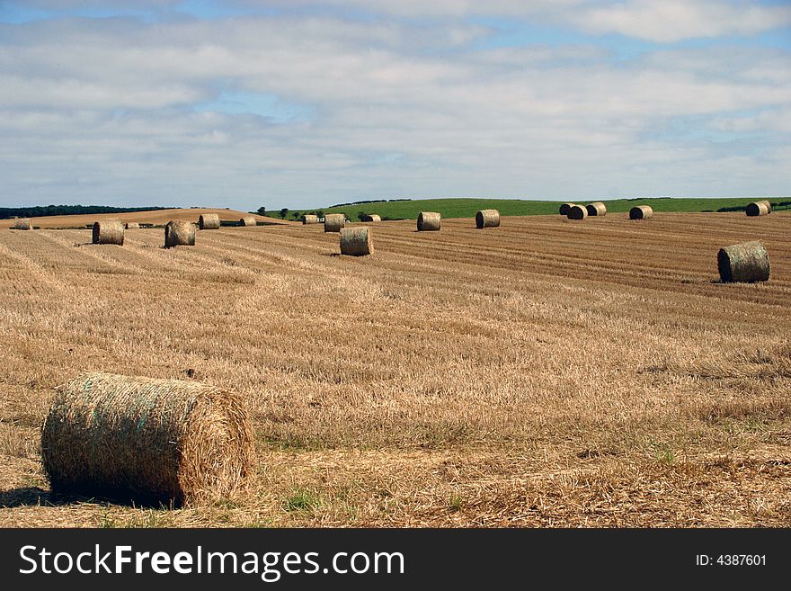 Bails of Hay in the Fields