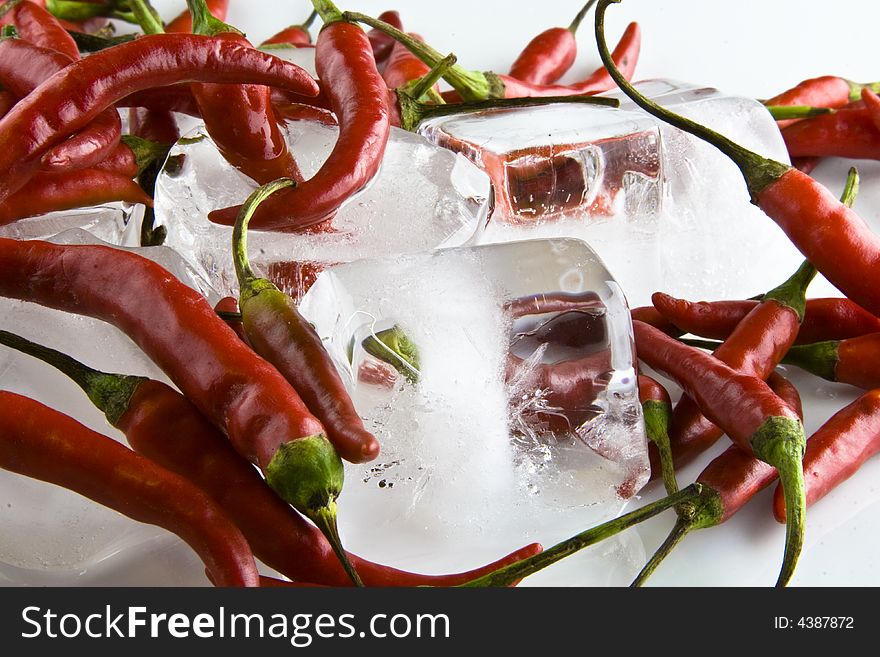 Red spicy chilies on ice. Red spicy chilies on ice