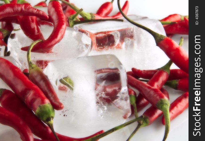 Red spicy chilies on ice. Red spicy chilies on ice