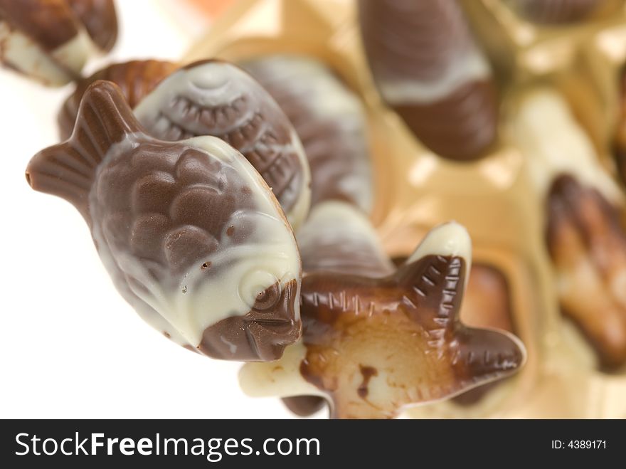 Delicious belgian fruits de mer chocolates. Delicious belgian fruits de mer chocolates