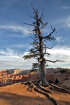 Bryce Canyon Royalty Free Stock Photo Bryce Canyon Royalty Free Stock Photo