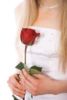 Close-up Bride Hands With Red Rose Royalty Free Stock Images Close-up Bride Hands With Red Rose Royalty Free Stock Images