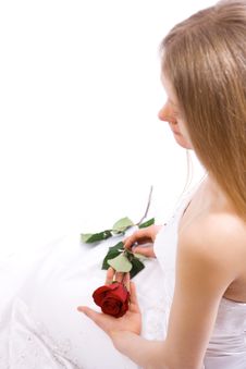 Young Bride With Rose Royalty Free Stock Images