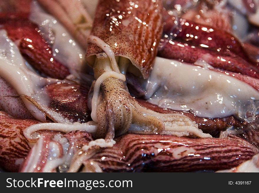 A close-up of a set of raw squids. A close-up of a set of raw squids.