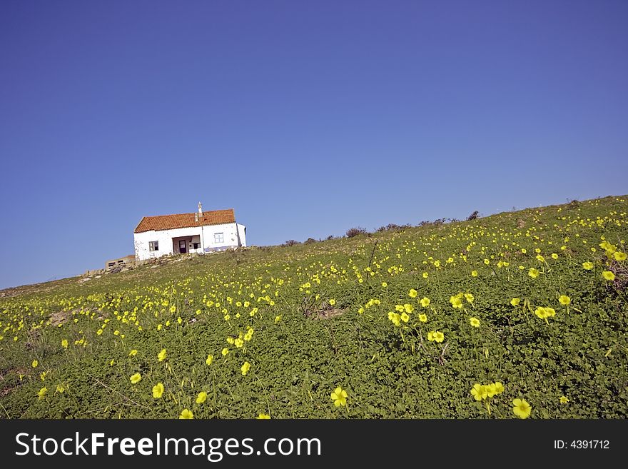 Old portuguese house in the flowering fields in springtime in Portugal against a blue sky