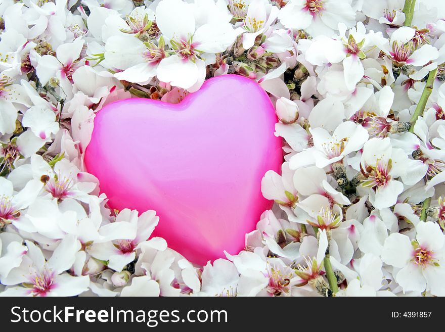 Pink Heart In A Bed Of Flowers