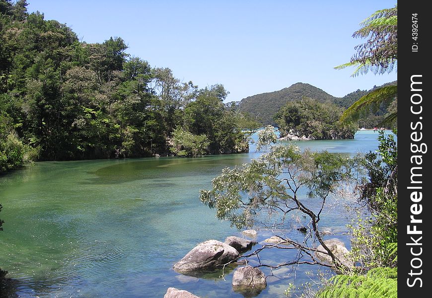 A bay in Abel Tasman National Park in New Zealand. A bay in Abel Tasman National Park in New Zealand.