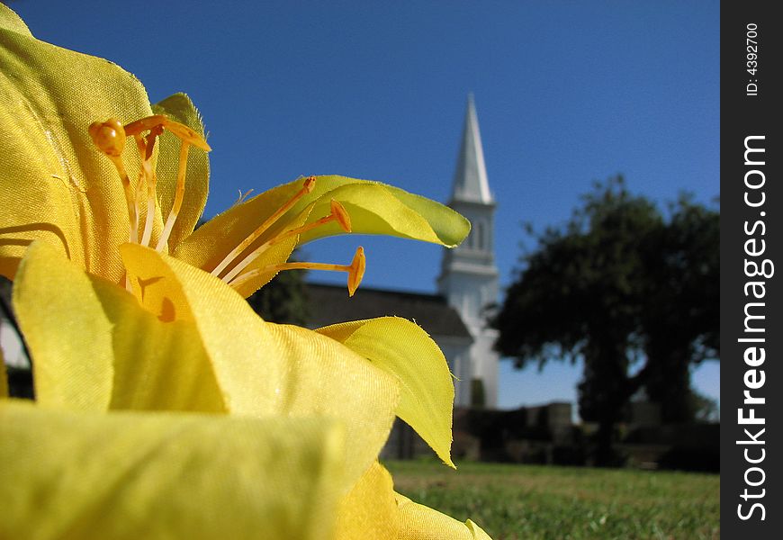 Yellow Flower And Church