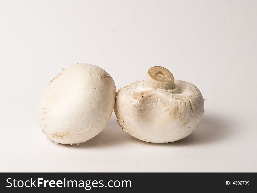 Two champignons isolated in white background