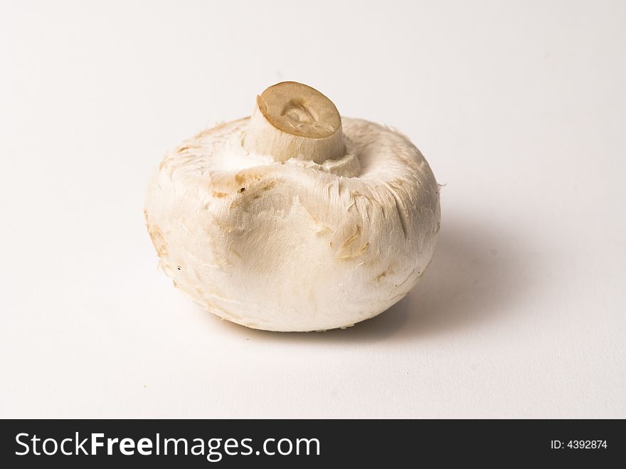 Champignon mushroom with white background. Champignon mushroom with white background