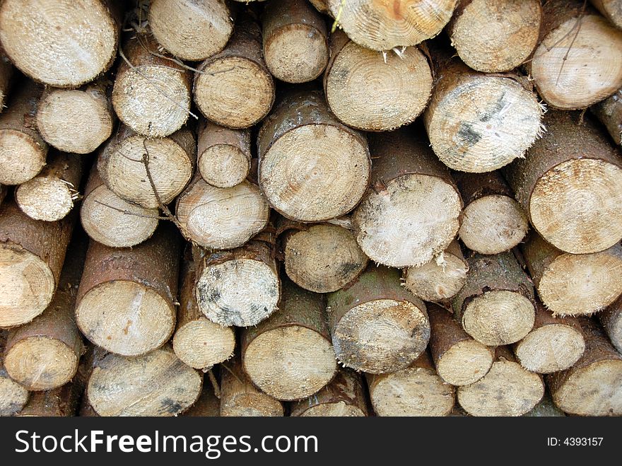 Wood Piles