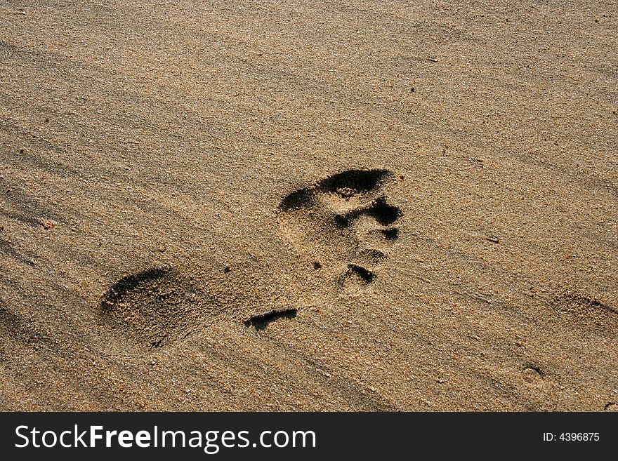 Isolated human footprint on beach sand