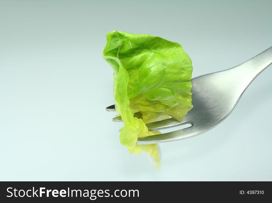 The fresh green lettuce on the fork