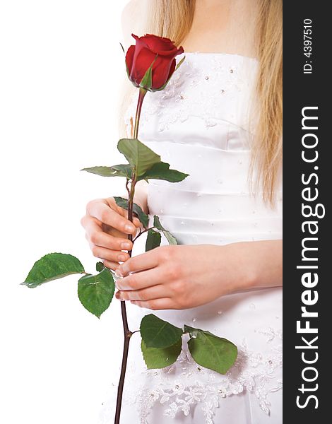 Close-up Bride Hands With Red Rose