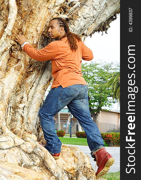 Man climbing up a tree. Man climbing up a tree.