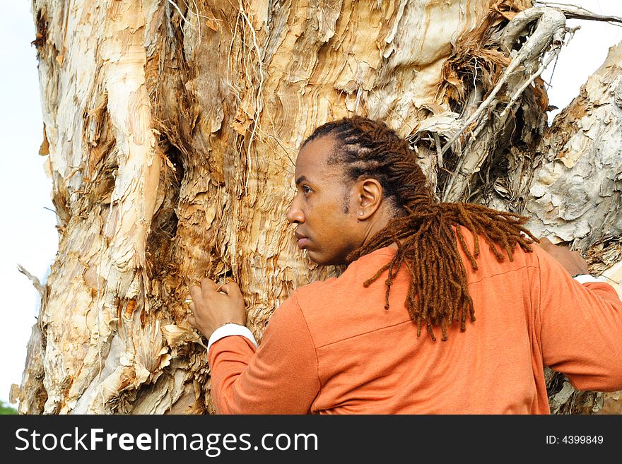 Man Climbing a Tree