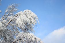 White Snow And Blue Sky Stock Images White Snow And Blue Sky Stock Images