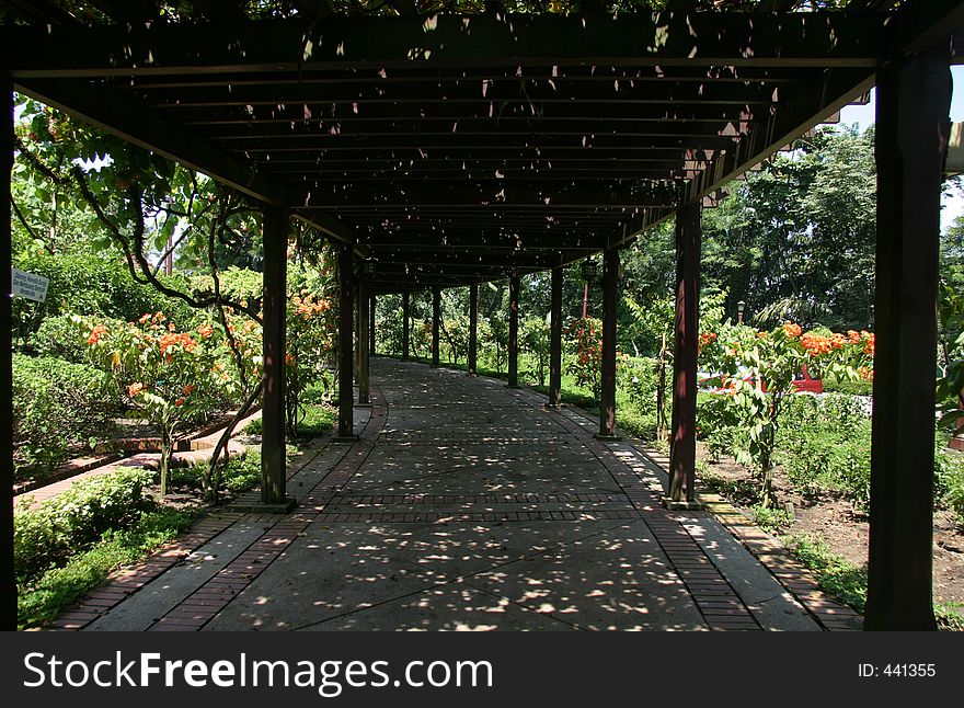 Shaded walkway covered with flooring vines at the Hibiscus Garden in Kuala Lumpur. Shaded walkway covered with flooring vines at the Hibiscus Garden in Kuala Lumpur