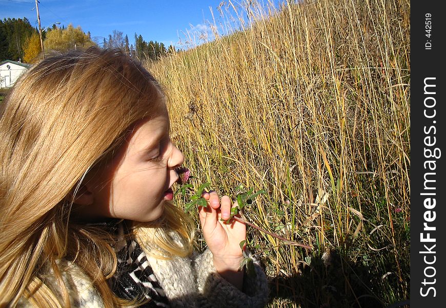 Canon digital, set macro, vivid; features DIG!C (auto. reduced grain/noise). Little country girl couldn't resist tasting the clover.