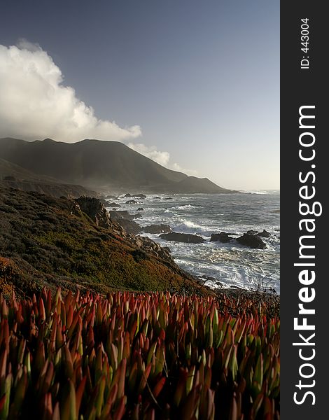 Red ice plant in foreground of ocean view in Big Sur in California on Highway 1. Red ice plant in foreground of ocean view in Big Sur in California on Highway 1