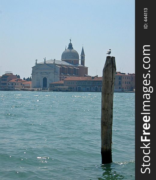 A bird and the San Giorgio Maggiore, Venice Italy