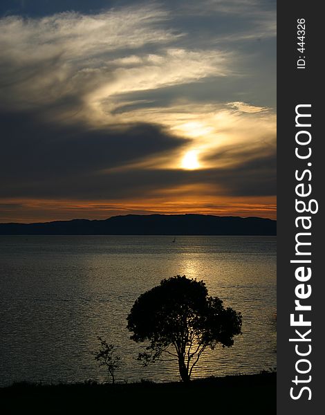 The tree at the seaside in the sunset made me feel lonely. It was something with the light, skies and the tree standing alone...