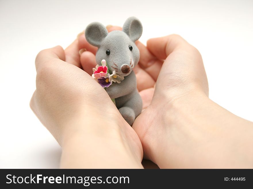 Mouse on a hands. Mouse on a hands