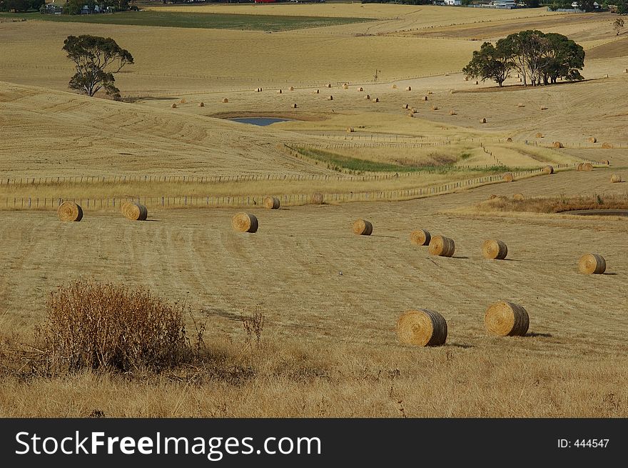 Round haystacks