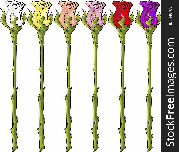 Long Stem Roses, White, Red, Yellow, Peach, Pink, Purple