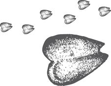 Traces - Hoof Stock Photo Traces - Hoof Stock Photo