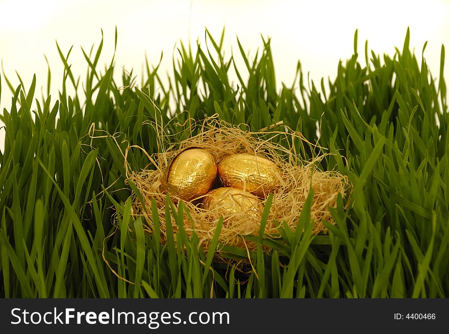 Golden easter eggs in a nest. Green grass and white background. Golden easter eggs in a nest. Green grass and white background.