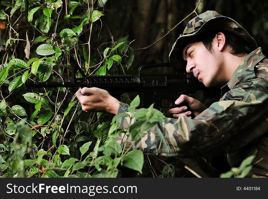 A solider hiding in the bushes taking aim. A solider hiding in the bushes taking aim.