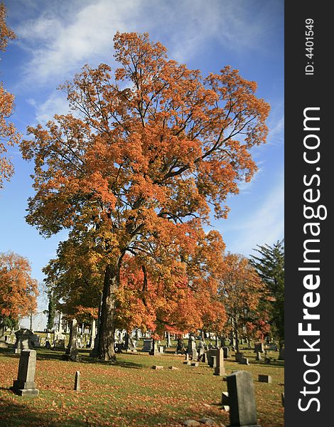 A local Nashville Cemetery in Mid Autumn. A local Nashville Cemetery in Mid Autumn
