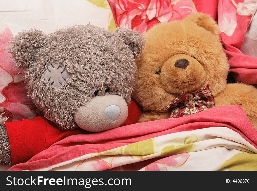 Two lovely sleepy bears in the bed. Two lovely sleepy bears in the bed
