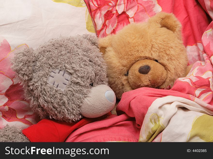 Two lovely sleepy bears in the bed. Two lovely sleepy bears in the bed