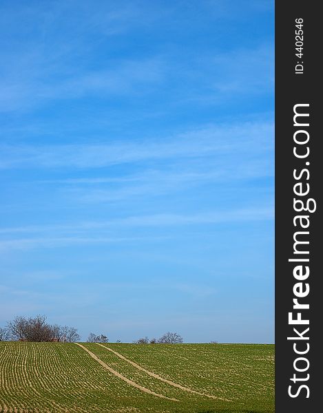 Landscape view. Road to sky.