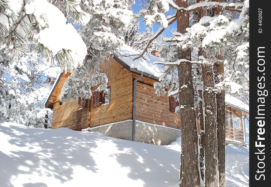 Wooden cottage in the forest between the snow covered pine trees. Wooden cottage in the forest between the snow covered pine trees