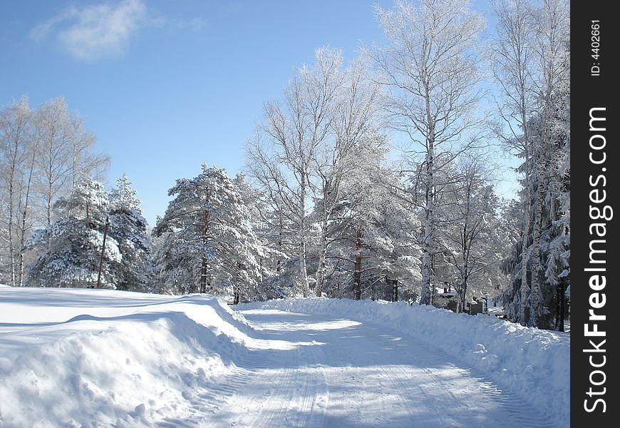 Quiet winter day afternoon in the mountains, a path between the snow covered pine trees. Quiet winter day afternoon in the mountains, a path between the snow covered pine trees