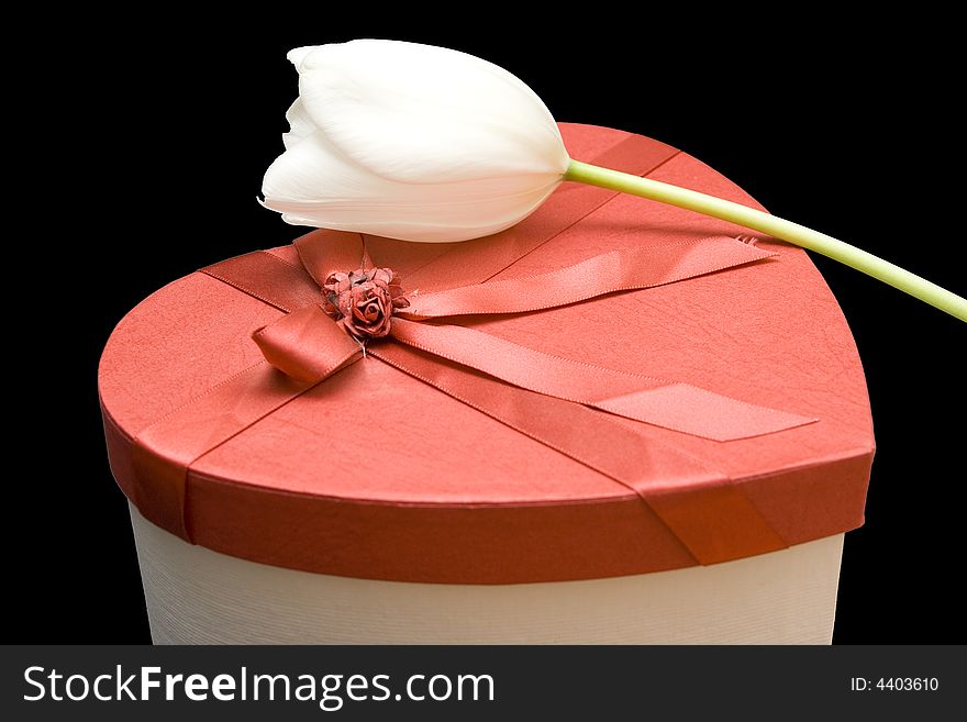 Gift box in a shape of heart with a tulip above