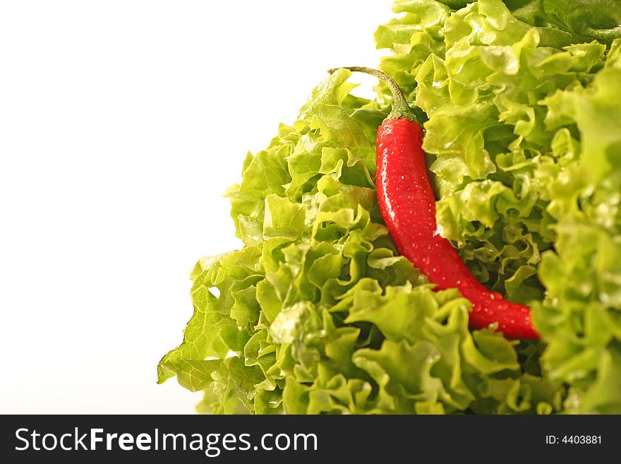 Salad with a chilli on a withe background.