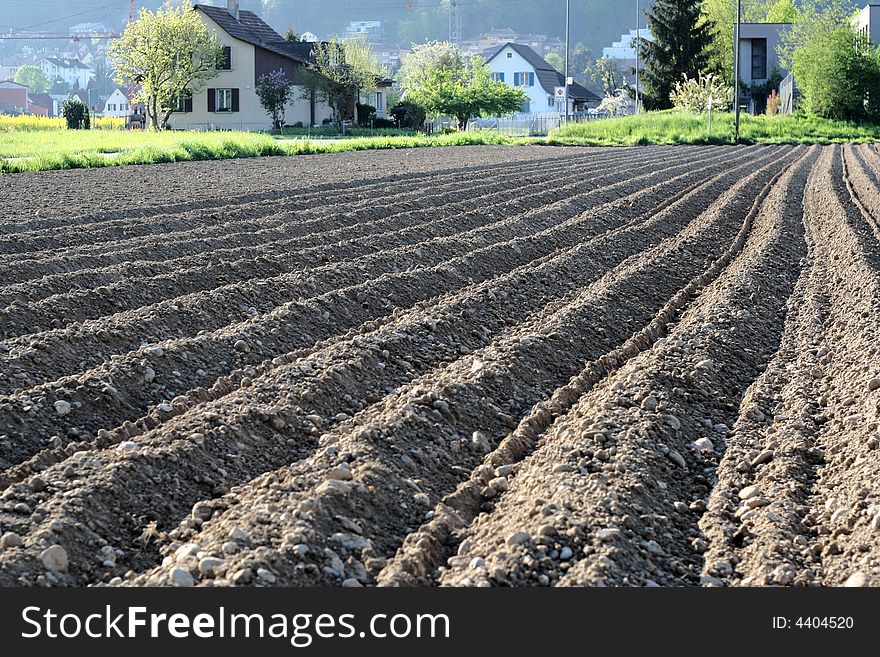 The fresh earth on the spring field