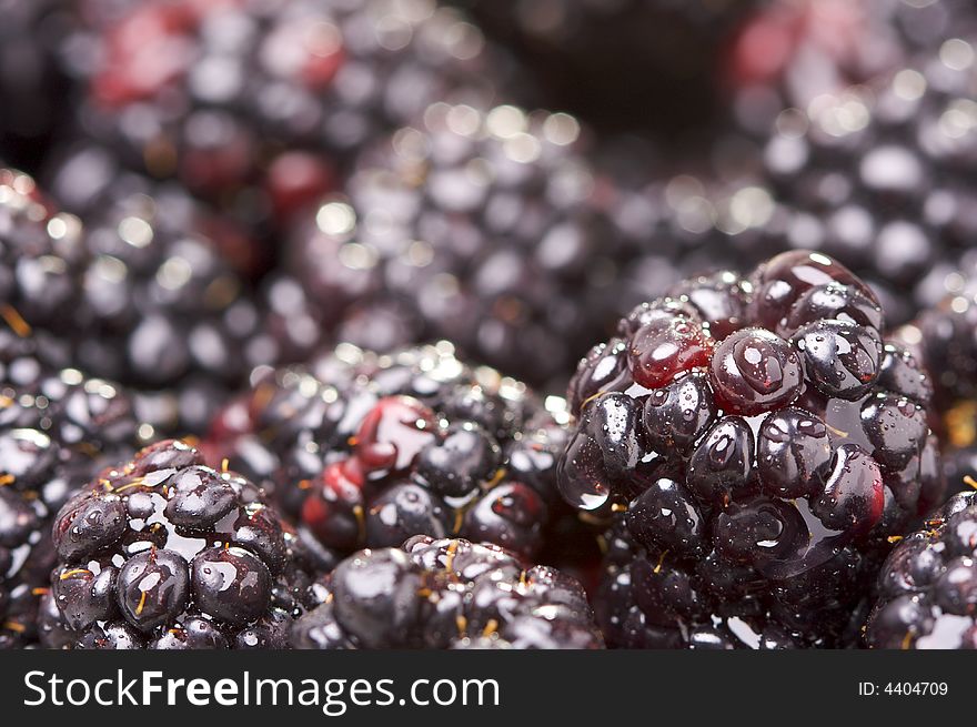 Macro Blackberries with Water Drops and Narrow Depth of Field.