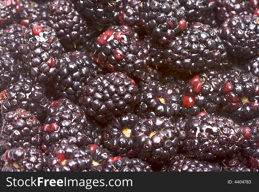 Macro Blackberries With Water Drops