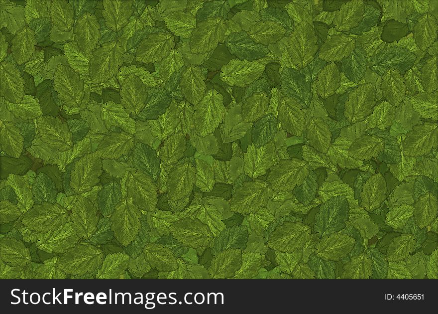 Large file of leaves - summer background. Large file of leaves - summer background