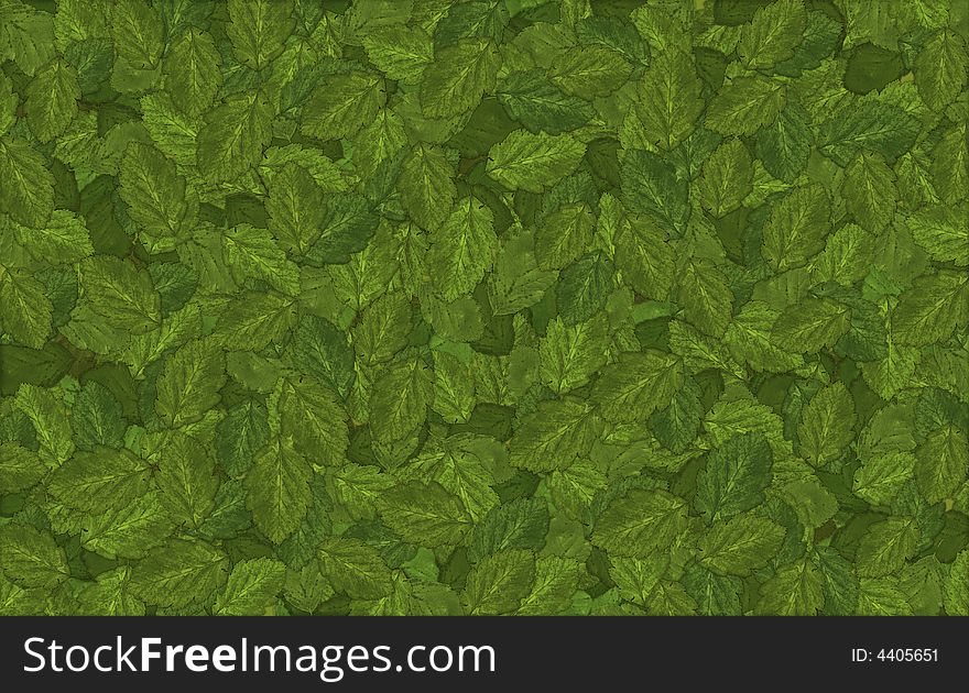 Green leaves background