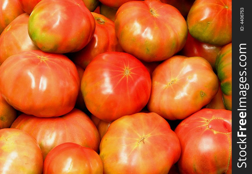 Plump Tomatoes