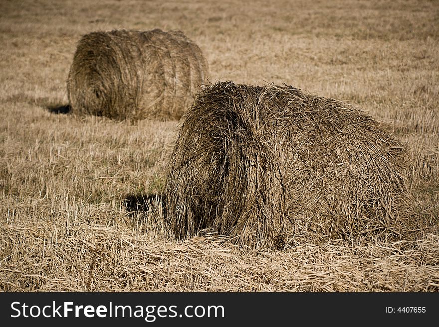 Two hayricks on the country field