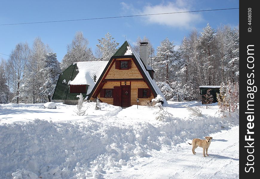 Idilic cottage in the mountains