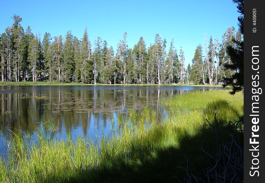 A view of Yosemite National Park in California - USA. A view of Yosemite National Park in California - USA